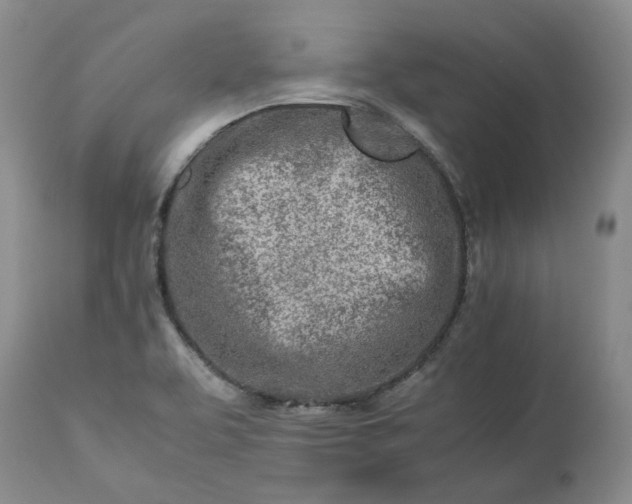 X0000113561463200910021543