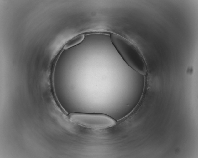 X0000113561464200910021543