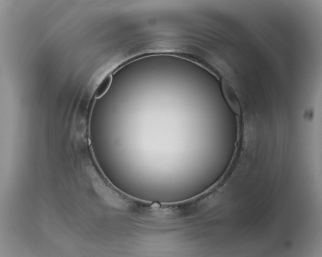 X0000113561465200910021542