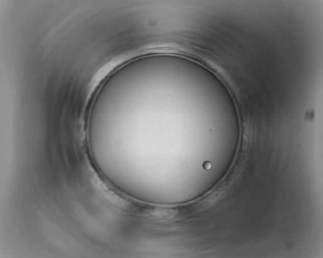 X0000113561466200910021542