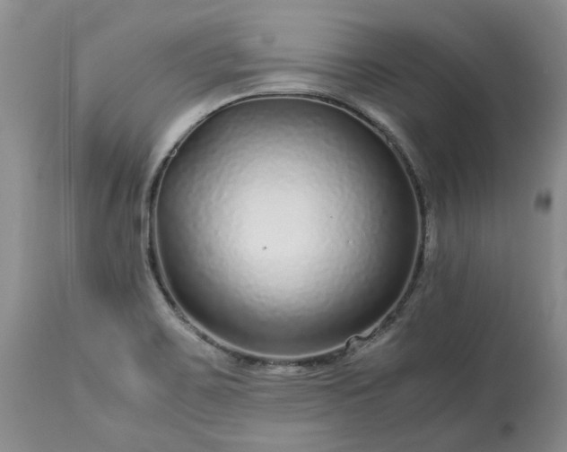 X0000113561467200910021542