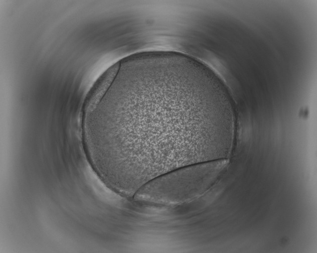 X0000113561468200910021542