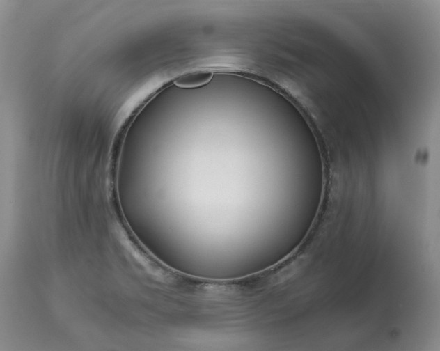 X0000113561469200910021542