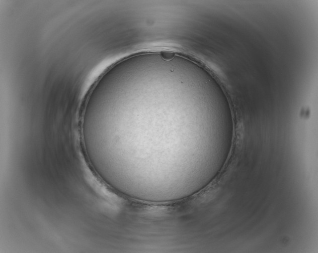 X0000113561470200910021542