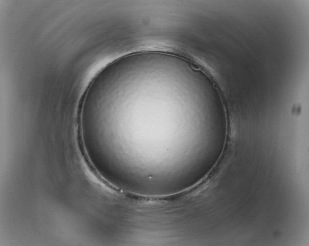 X0000113561471200910021542