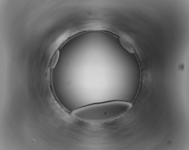 X0000113561472200910021542