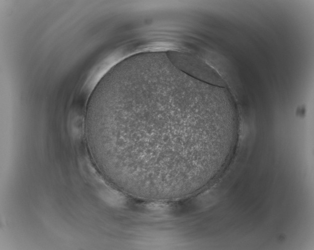 X0000113561473200910021542
