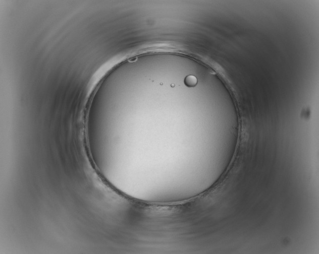 X0000113561474200910021542