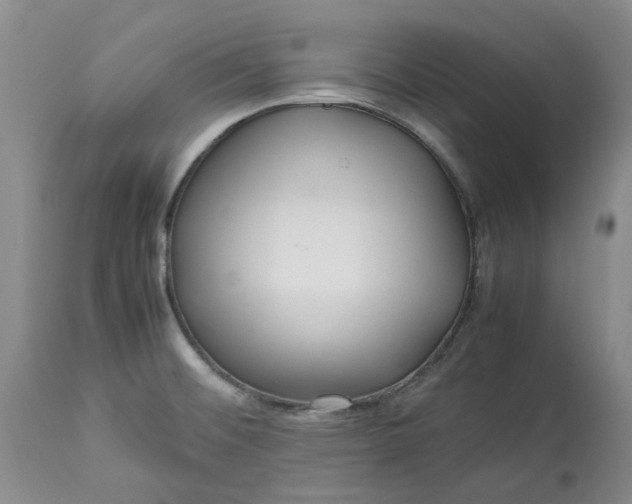 X0000113561476200910021542