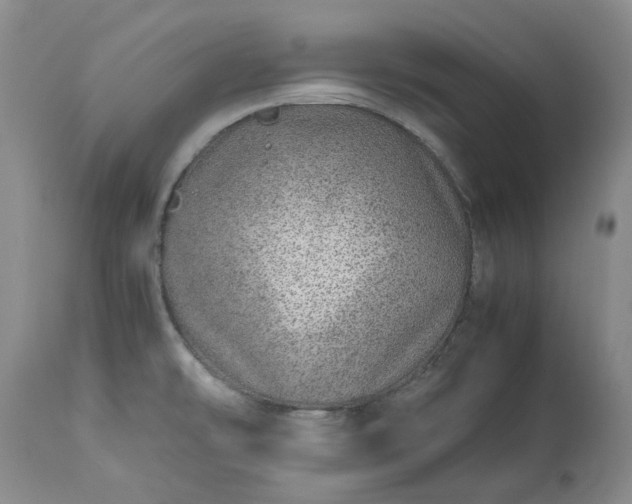 X0000113561478200910021542