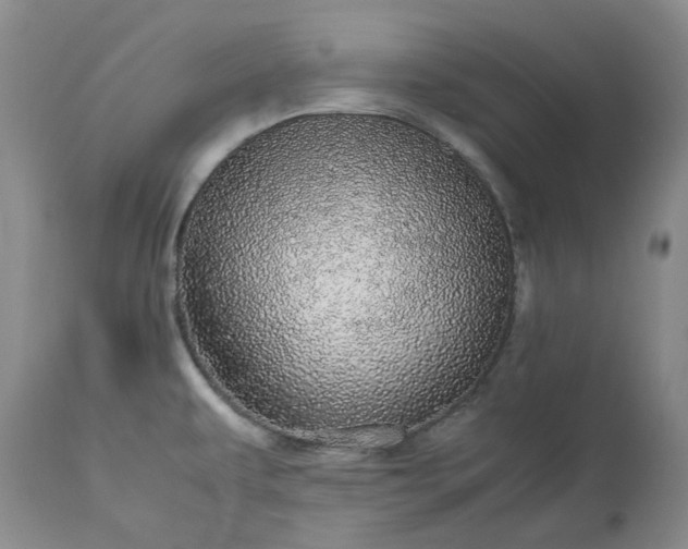 X0000113561479200910021542