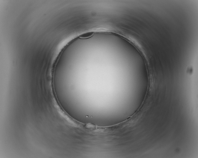 X0000113561480200910021542