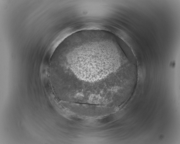 X0000113561481200910021542