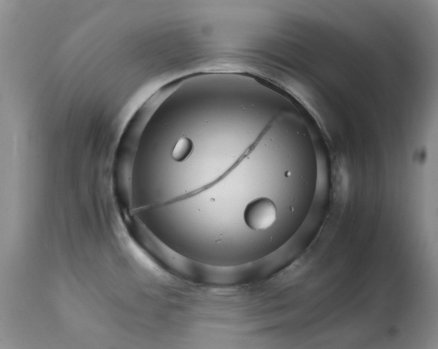 X0000113561484200910021542