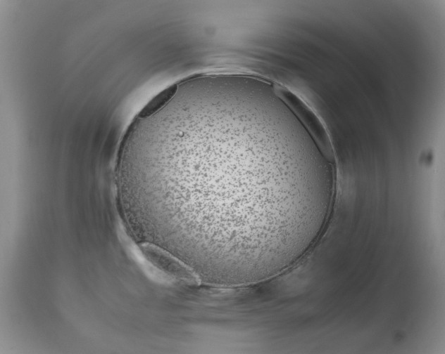 X0000113561485200910021542