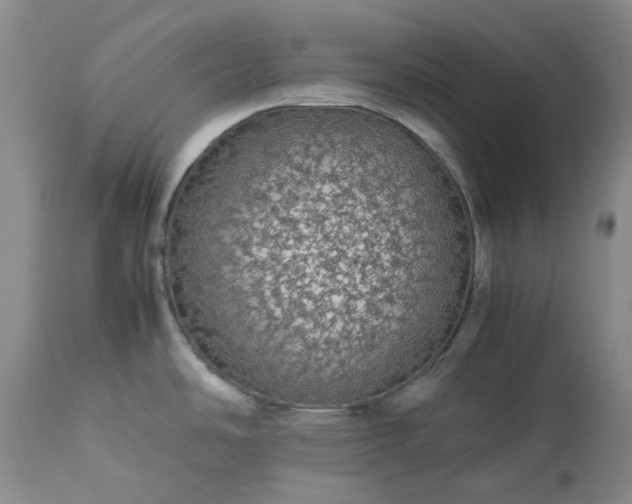 X0000113561486200910021542