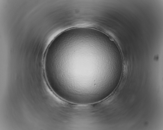 X0000113561487200910021542