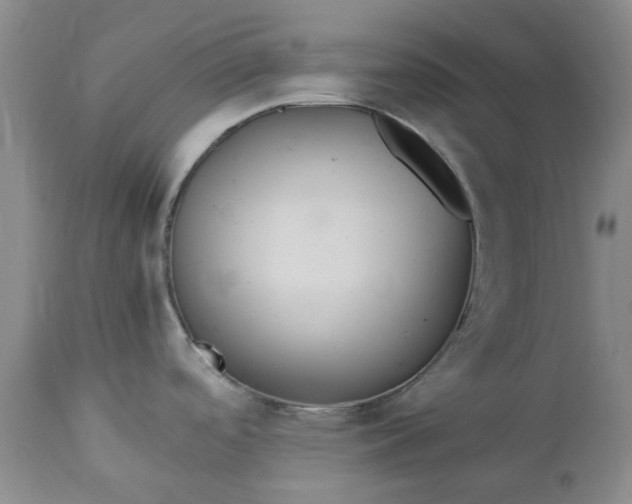 X0000113561488200910021542