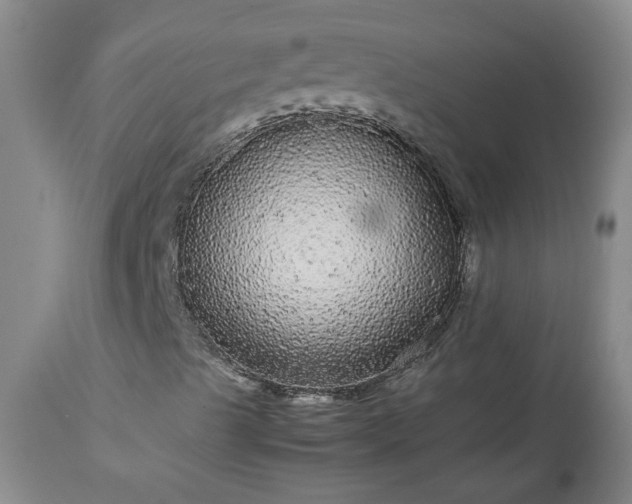 X0000113561489200910021541