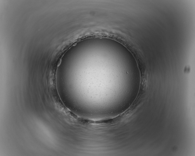 X0000113561490200910021541