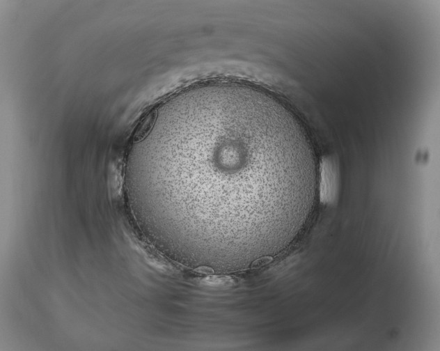 X0000113561491200910021541