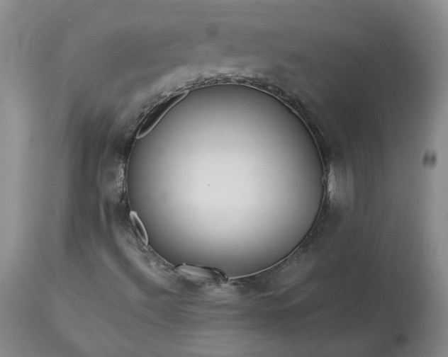 X0000113561492200910021541