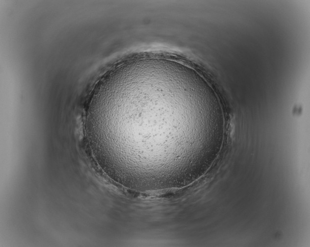 X0000113561493200910021542