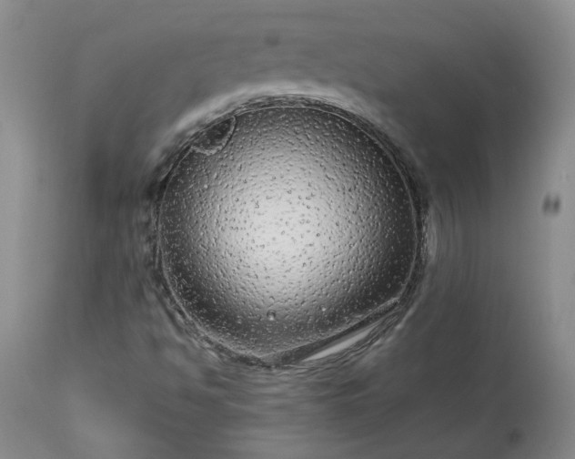 X0000113561494200910021542