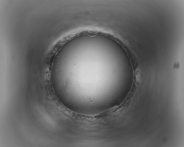 X0000113561495200910021542