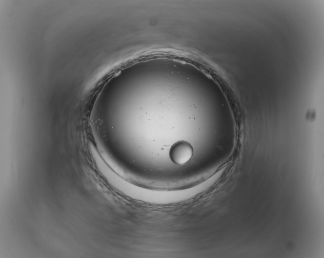 X0000113561496200910021542