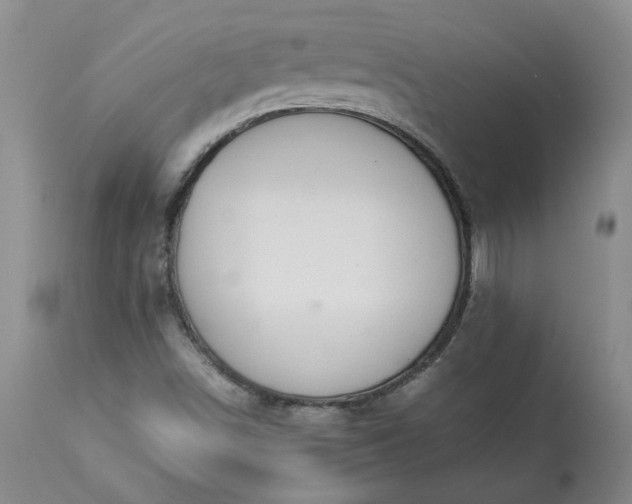X0000113561498200910021542