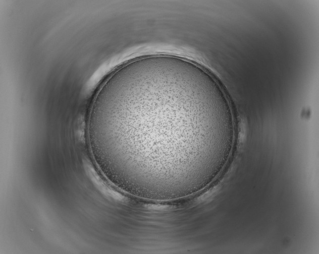 X0000113561499200910021542