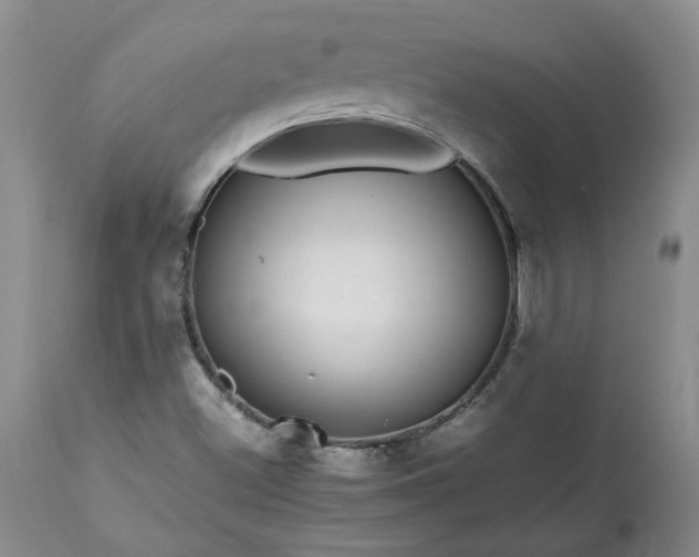 X0000113561500200910021542