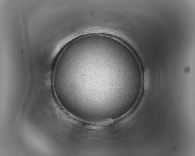 X0000113561501200910021542