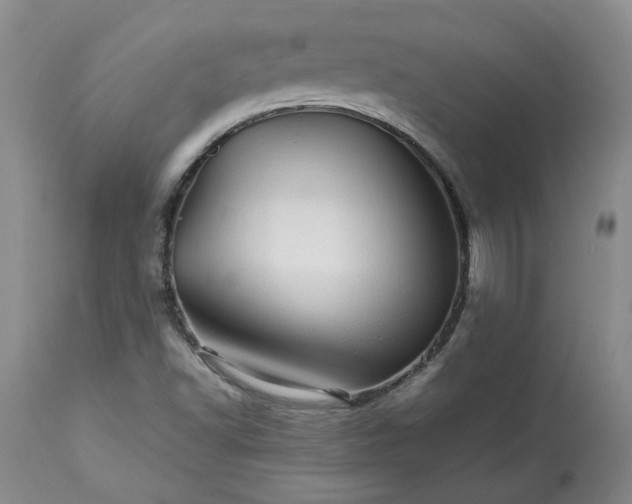 X0000113561502200910021542