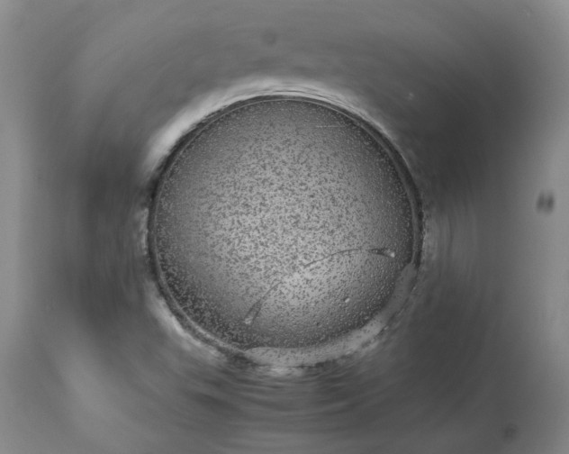 X0000113561503200910021542
