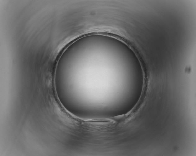 X0000113561505200910021542