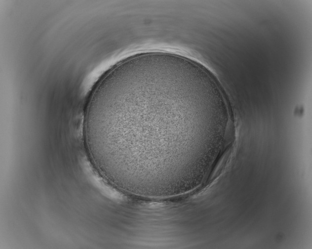 X0000113561507200910021542