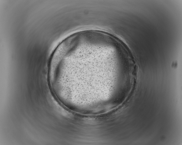 X0000113561508200910021542