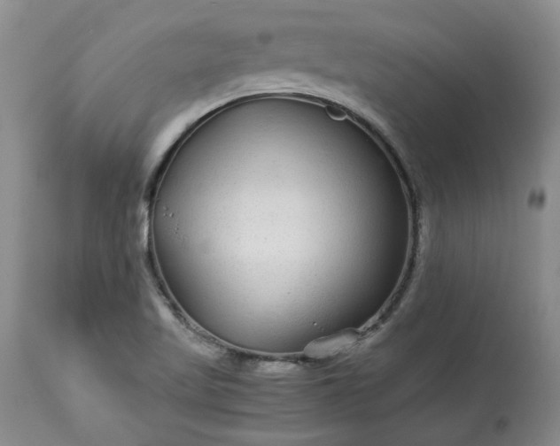 X0000113561509200910021542