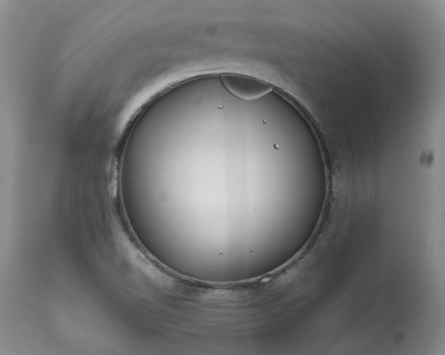X0000113561510200910021542