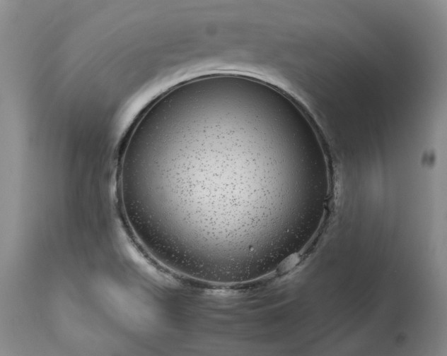 X0000113561511200910021542