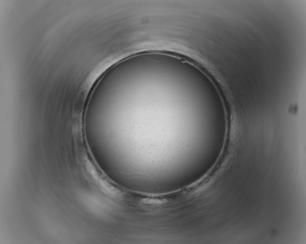 X0000113561513200910021542
