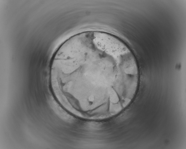X0000113561514200910021542