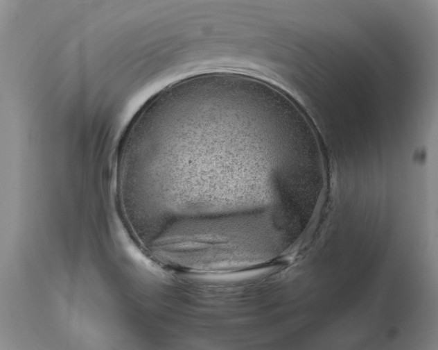 X0000113561515200910021542