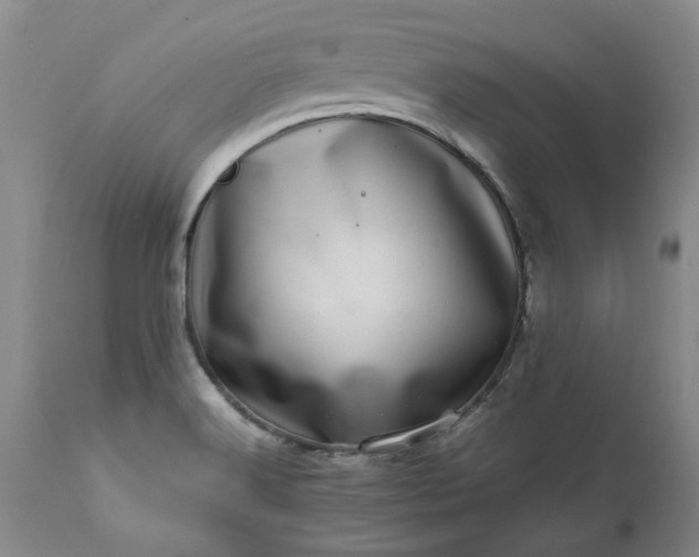 X0000113561516200910021542