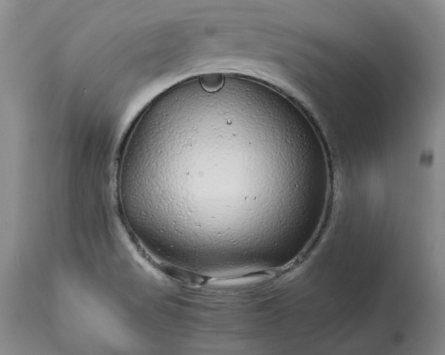 X0000113561517200910021542