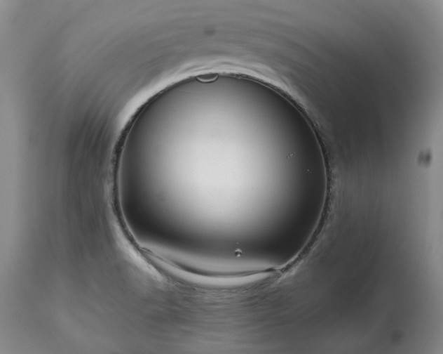 X0000113561518200910021542