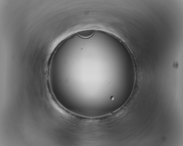 X0000113561519200910021542