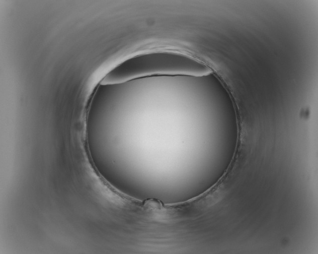X0000113561520200910021542